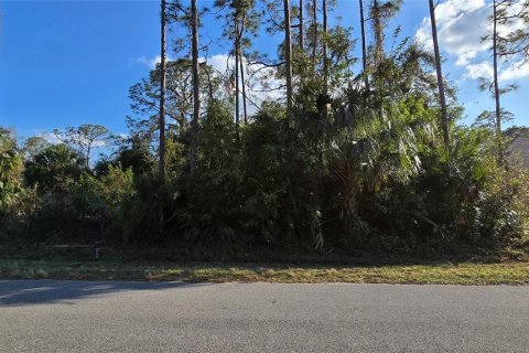 Land in North Port, Florida № 2163154 - photo 3