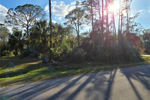 Land in North Port, Florida № 2163154 - photo 2