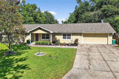 House in Mount Dora, Florida 4 bedrooms, 226.59 sq.m. № 1918546 - photo 1