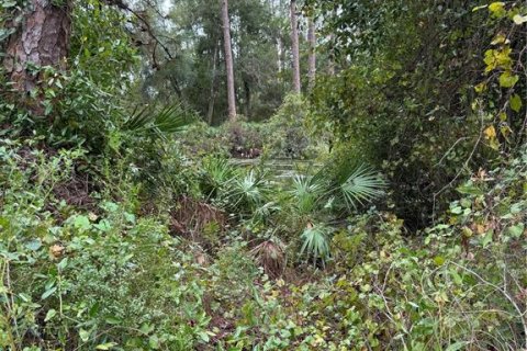 House in Groveland, Florida 1 bedroom, 44.59 sq.m. № 1578348 - photo 16