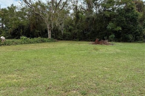 House in Groveland, Florida 1 bedroom, 44.59 sq.m. № 1578348 - photo 3