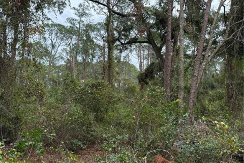 House in Groveland, Florida 1 bedroom, 44.59 sq.m. № 1578348 - photo 23