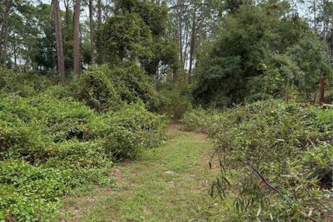 House in Groveland, Florida 1 bedroom, 44.59 sq.m. № 1578348 - photo 9