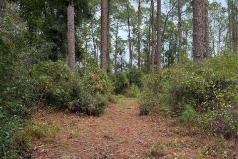 House in Groveland, Florida 1 bedroom, 44.59 sq.m. № 1578348 - photo 7