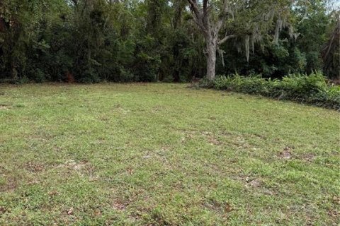 House in Groveland, Florida 1 bedroom, 44.59 sq.m. № 1578348 - photo 27