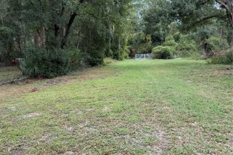 House in Groveland, Florida 1 bedroom, 44.59 sq.m. № 1578348 - photo 26