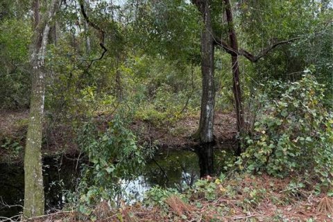 House in Groveland, Florida 1 bedroom, 44.59 sq.m. № 1578348 - photo 12