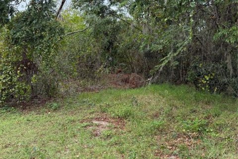 House in Groveland, Florida 1 bedroom, 44.59 sq.m. № 1578348 - photo 24