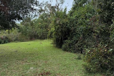 House in Groveland, Florida 1 bedroom, 44.59 sq.m. № 1578348 - photo 20
