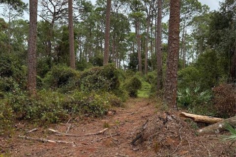House in Groveland, Florida 1 bedroom, 44.59 sq.m. № 1578348 - photo 15