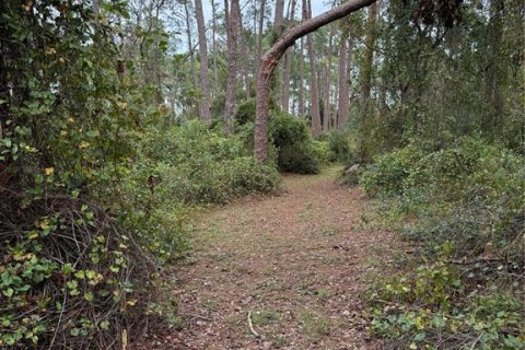 House in Groveland, Florida 1 bedroom, 44.59 sq.m. № 1578348 - photo 19