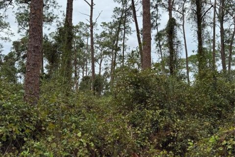 House in Groveland, Florida 1 bedroom, 44.59 sq.m. № 1578348 - photo 13