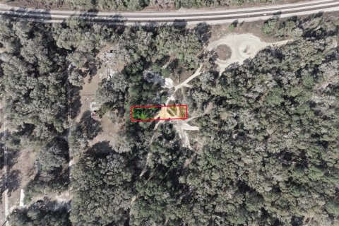 Land in Citra, Florida № 2162378