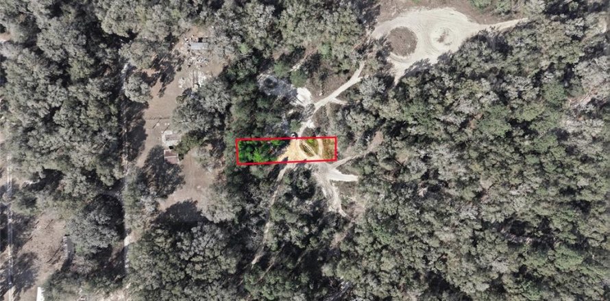 Land in Citra, Florida № 2162378