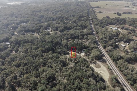 Land in Citra, Florida № 2162378 - photo 8