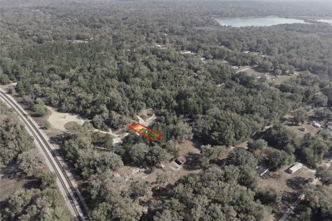Land in Citra, Florida № 2162378 - photo 14