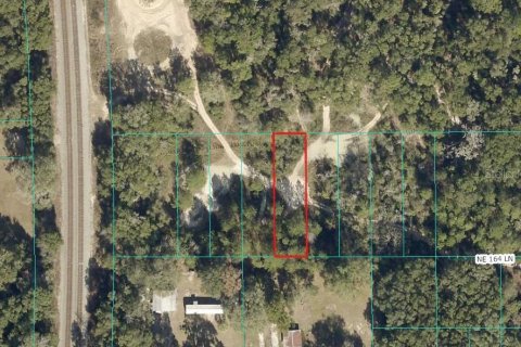 Land in Citra, Florida № 2162378 - photo 6
