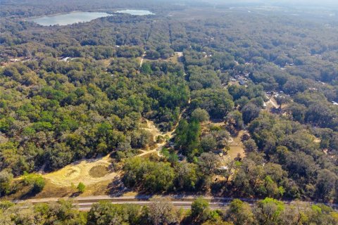 Land in Citra, Florida № 2162378 - photo 9