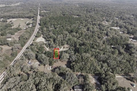 Land in Citra, Florida № 2162378 - photo 16