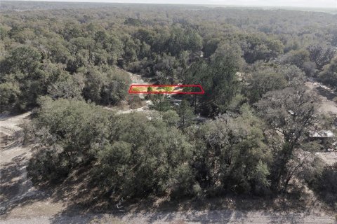 Land in Citra, Florida № 2162378 - photo 27