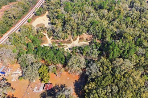 Land in Citra, Florida № 2162378 - photo 17