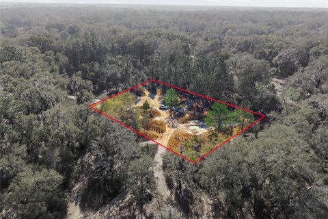 Land in Citra, Florida № 2162378 - photo 24