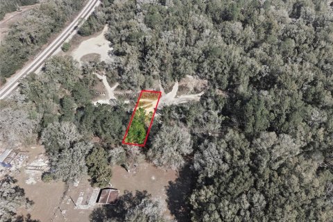 Land in Citra, Florida № 2162378 - photo 18
