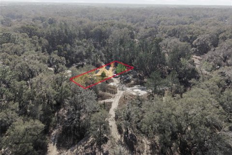 Land in Citra, Florida № 2162378 - photo 25