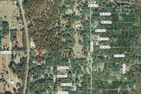 Land in Citra, Florida № 2162378 - photo 11