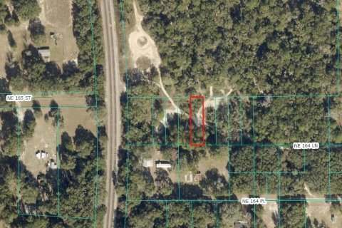 Land in Citra, Florida № 2162378 - photo 7