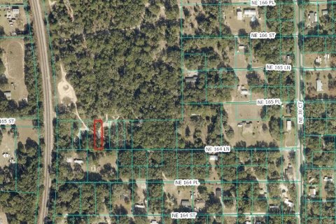 Land in Citra, Florida № 2162378 - photo 10