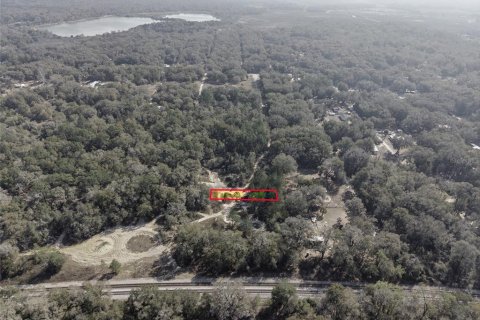 Land in Citra, Florida № 2162378 - photo 12