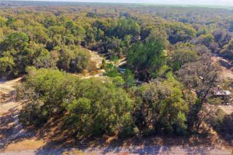 Land in Citra, Florida № 2162378 - photo 26