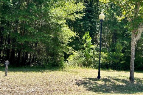 Terreno en venta en Gainesville, Florida № 1879238 - foto 1