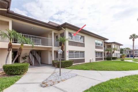Condo in New Port Richey, Florida, 1 bedroom  № 1767918 - photo 1