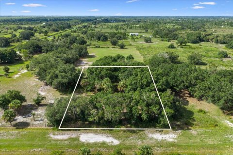 Commercial property in Okeechobee, Florida № 2246377 - photo 7