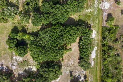 Commercial property in Okeechobee, Florida № 2246377 - photo 12