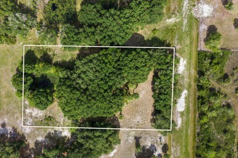 Commercial property in Okeechobee, Florida № 2246377 - photo 5