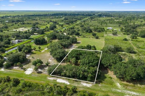 Commercial property in Okeechobee, Florida № 2246377 - photo 6