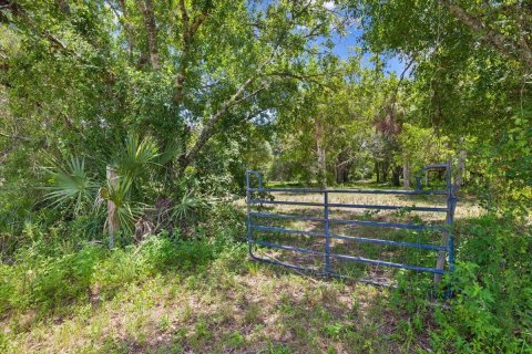 Commercial property in Okeechobee, Florida № 2246377 - photo 26