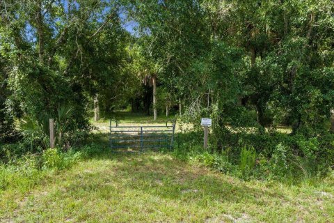 Commercial property in Okeechobee, Florida № 2246377 - photo 4