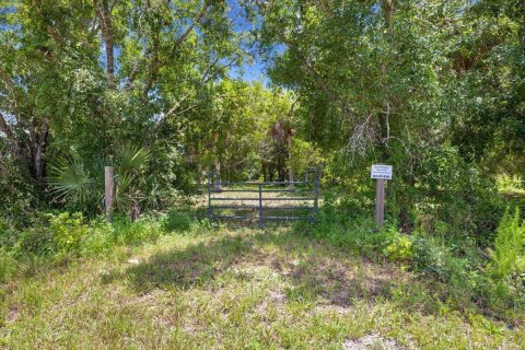 Commercial property in Okeechobee, Florida № 2246377 - photo 2