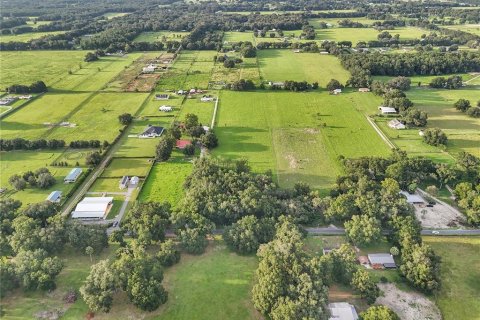 Terrain à Summerfield, Floride № 2341830