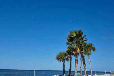 Villa ou maison à vendre à New Port Richey, Floride: 3 chambres, 158.03 m2 № 2150245 - photo 22
