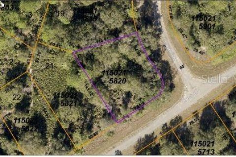 Land in North Port, Florida № 2164875 - photo 3