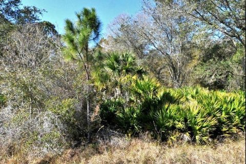 Land in North Port, Florida № 2164875 - photo 2