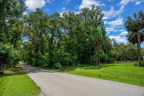 Terrain à vendre à Ocala, Floride № 2132199 - photo 4