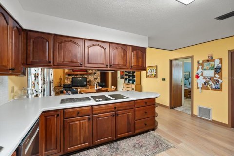 House in Leesburg, Florida 4 bedrooms, 266.44 sq.m. № 1911234 - photo 29