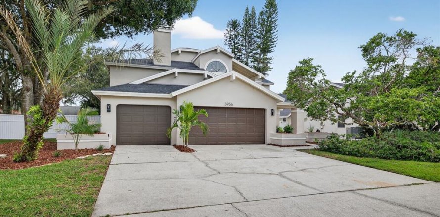 House in Palm Harbor, Florida 4 bedrooms, 316.61 sq.m. № 1909596
