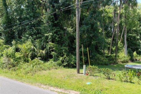 Land in Astor, Florida № 1736308 - photo 1